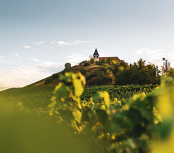 Michaelsberg Cleebronn |  HeilbronnerLand | © Touristikgemeinschaft HeilbronnerLand e.V.