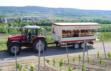 St. Michael Express | Planwagen- und Weinbergrundfahrten | Cleebronn | © Weingärtner Cleebronn-Güglingen