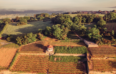 Aussichtsplattform im Gundelsheimer Himmelreich | Michaelsberg Gundelsheim | HeilbronnerLand | © Stadt Gundelsheim