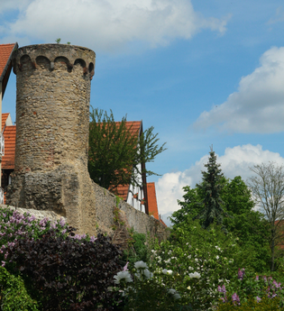 Mittelalterliche Stadtmauer und ihre Türme | © Landratsamt Rhein-Neckar-Kreis