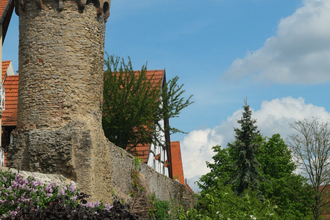 Mittelalterliche Stadtmauer und ihre Türme | © Landratsamt Rhein-Neckar-Kreis