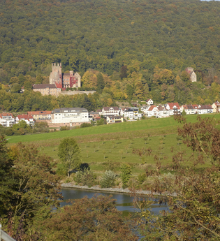 Blick auf die Vierburgenstadt Neckarsteinach | © Touristikgemeinschaft Odenwald e.V.