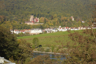 Blick auf die Vierburgenstadt Neckarsteinach | © Touristikgemeinschaft Odenwald e.V.