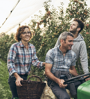 Familie Mozer bei der Obsternte | © Touristikgemeinschaft Hohenlohe e. V. | Stefan Schütze