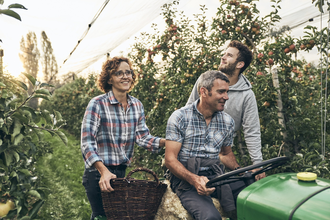 Familie Mozer bei der Obsternte | © Touristikgemeinschaft Hohenlohe e. V. | Stefan Schütze