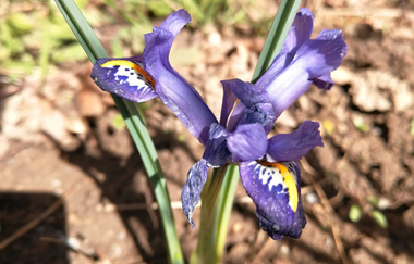 Museum Antoniushof | © Wiesenbach Museum Foto: Samuel Fleiner