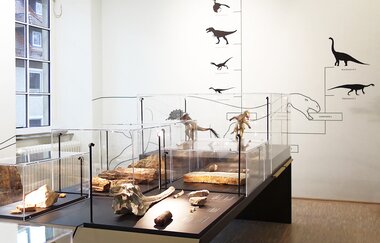 Museum im Deutschhof | © Heilbronn Marketing GmbH