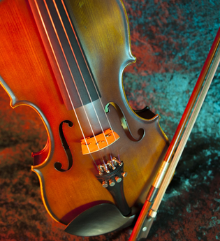 Musikschule Bezirk Schwetzingen e.V. | © Pixabay