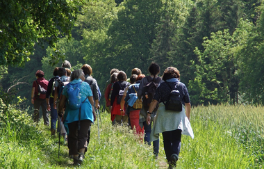 Frauen beim Wandern unterwegs im Hohenloher Land | © Touristikgemeinschaft Hohenlohe e. V. |  Natur- und Landschaftsführer Hohenlohe e. V.