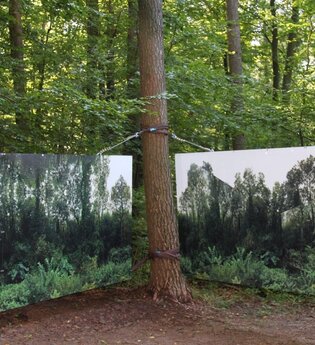 Natura - Frieden: Kunst am Eppinger-Linien-Weg