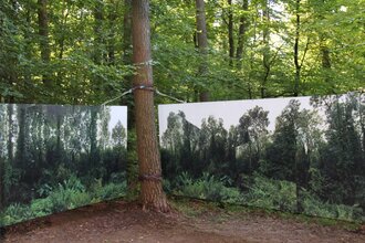 Natura - Frieden: Kunst am Eppinger-Linien-Weg