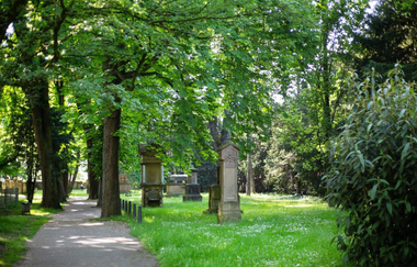 Naturdenkmal Alter Friedhof