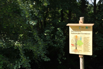 Naturdenkmal „Kastanienallee“ | © Gemeinde Eschelbronn