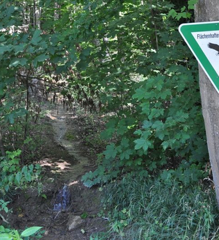 Naturdenkmal „Steinerne Rinne“ an der Meckesheimer Straße | © Unbekannt
