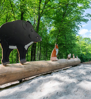 Station "Weitsprung" des Pfades mit Abbildungen verschiedener Tiere | © Buchenwaldmeister_Angelbachtal