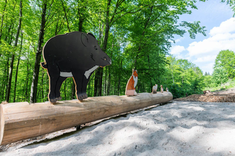 Station "Weitsprung" des Pfades mit Abbildungen verschiedener Tiere | © Buchenwaldmeister_Angelbachtal