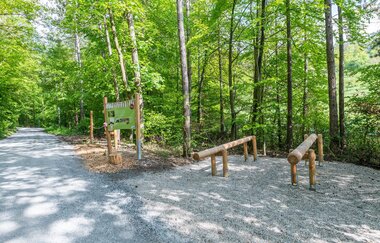 Naturerlebnispfad Angelbachtal | © Buchenwaldmeister_Angelbachtal