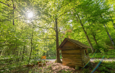 Naturerlebnispfad Angelbachtal | © Buchenwaldmeister_Angelbachtal