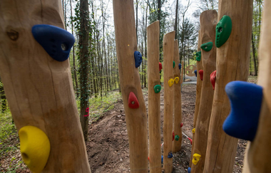 Naturerlebnispfad Angelbachtal | © Buchenwaldmeister_Angelbachtal