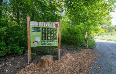 Naturerlebnispfad Angelbachtal | © Buchenwaldmeister_Angelbachtal