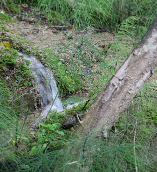 Sinterterrasse beim Kuharsch in Krautheim | © Touristikgemeinschaft Hohenlohe e. V. | arion Schlund