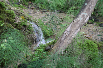 Sinterterrasse beim Kuharsch in Krautheim | © Touristikgemeinschaft Hohenlohe e. V. | arion Schlund