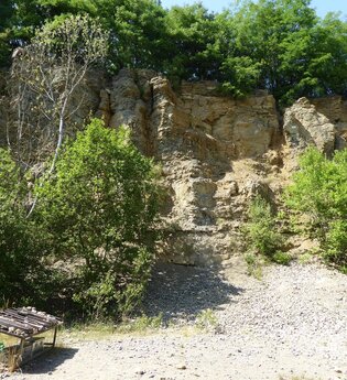 Naturlehrpfad Steinbruch Nußloch