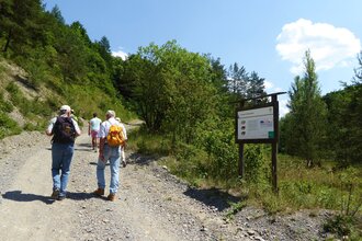Naturlehrpfad Steinbruch Nußloch