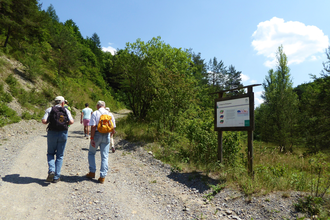 Naturlehrpfad Steinbruch Nußloch