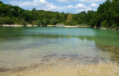 Naturlehrpfad Steinbruch Nußloch