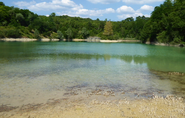 Naturlehrpfad Steinbruch Nußloch