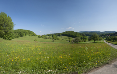 Odenwald | © Dorothea Burkhardt, Medienzentrum Heidelberg