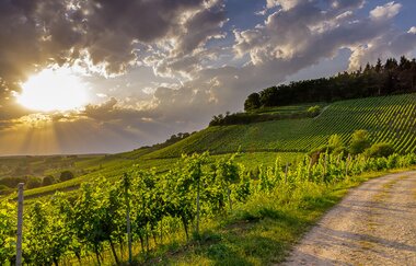 Naturpark Stromberg-Heuchelberg | © Niels Dick