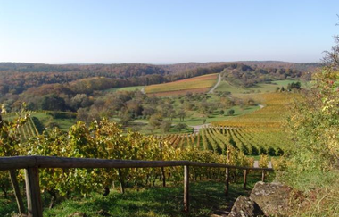 Auenberg Sternenfels - Naturpark Stromberg-Heuchelberg | © Naturpark Stromberg-Heuchelberg