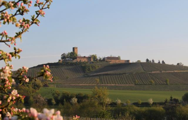 Ravensburg Sulzfeld - Naturpark Stromberg-Heuchelberg | © Naturpark Stromberg-Heuchelberg