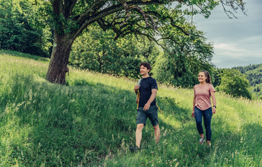 Löwensteiner Bergtouren | Geführte Wanderungen im Naturpark Schwäbisch-Fränkischer Wald | HeilbronnerLand | © Touristikgemeinschaft HeilbronnerLand
