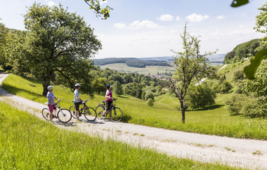 Löwensteiner Berge im Naturpark Schwäbisch-Fränkischer Wald | HeilbronnerLand | © Touristikgemeinschaft HeilbronnerLand e.V.
