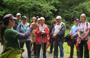 Naturparkführung Schwäbisch-Fränkischer Wald & Stadt Löwenstein | HeilbronnerLand | © Tourismus im Weinsberger Tal