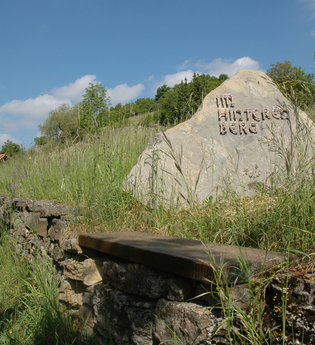 Naturschutzgebiet Essigberg/Hörnle | Roigheim | HeilbronnerLand | © Touristikgemeinschaft HeilbronnerLand