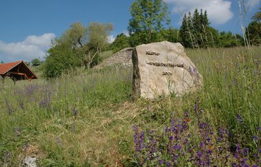 Naturschutzgebiet Essigberg / Hörnle | © Touristikgemeinschaft HeilbronnerLand e. V.
