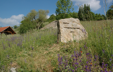 Naturschutzgebiet Essigberg / Hörnle | © Touristikgemeinschaft HeilbronnerLand e. V.
