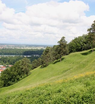 Naturschutzgebiet Kaiserberg | © Landkreis Karlsruhe