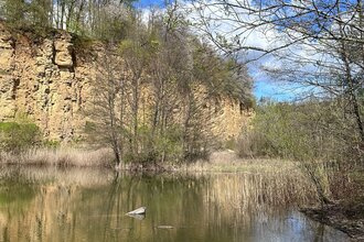 Naturschutzgebiet „Kallenberg“