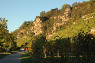 Terrassenweinberge bei Lauffen am Neckar | HeilbronnerLand | © Touristikgemeinschaft HeilbronnerLand e.V.