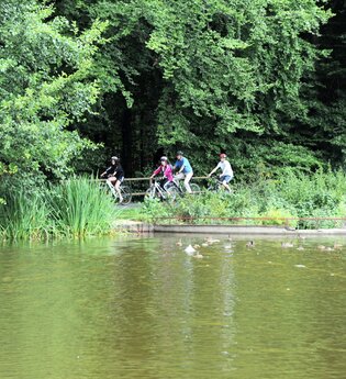 Idyllisches Naturerlebnis am Roberner See bei Fahrenbach | © Touristikgemeinschaft Odenwald e.V.