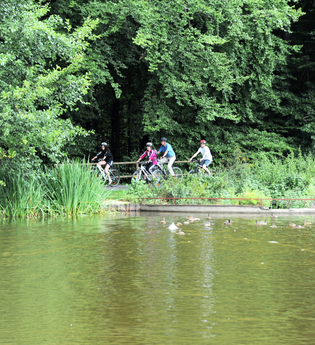 Idyllisches Naturerlebnis am Roberner See bei Fahrenbach | © Touristikgemeinschaft Odenwald e.V.