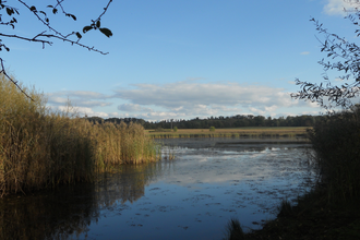 Naturschutzgebiet Roßweiher | © Stadt Maulbronn