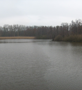 Naturschutzgebiet Weingartener Moor | © Landkreis Karlsruhe