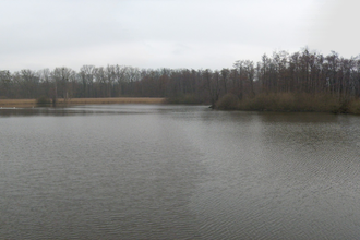 Naturschutzgebiet Weingartener Moor | © Landkreis Karlsruhe