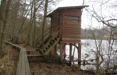 Naturschutzgebiet Weingartener Moor | © Landkreis Karlsruhe